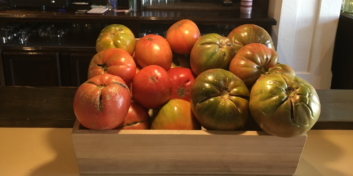 Tomates de la huerta